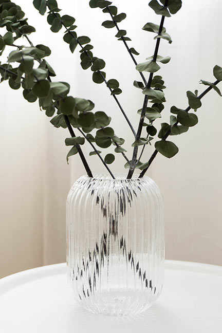 Eucalyptus in Home Decor