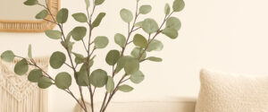 Eucalyptus in Home Decor